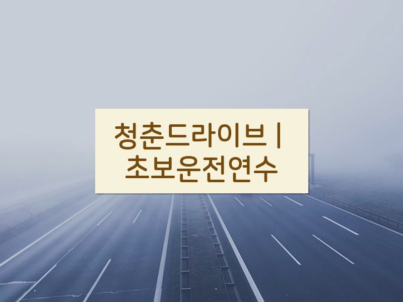 청춘드라이브 | 초보운전연수 후기