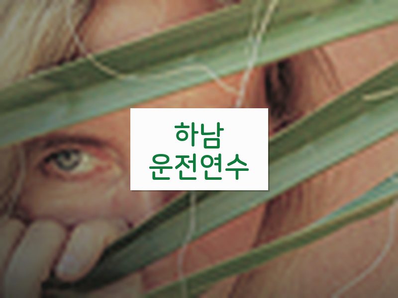 하남운전연수 후기