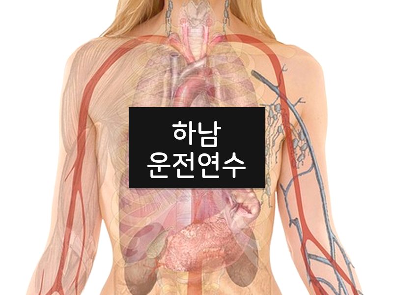 하남운전연수 후기