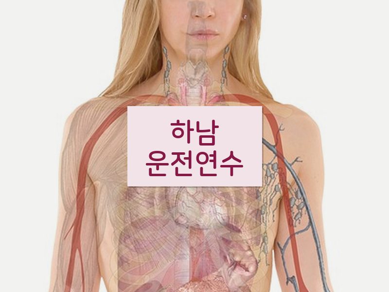 하남운전연수 후기