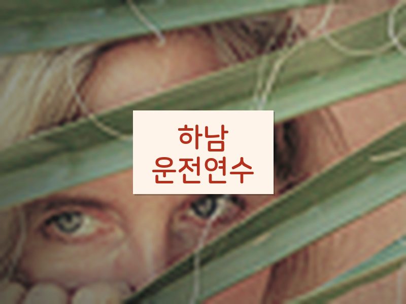 하남운전연수 후기