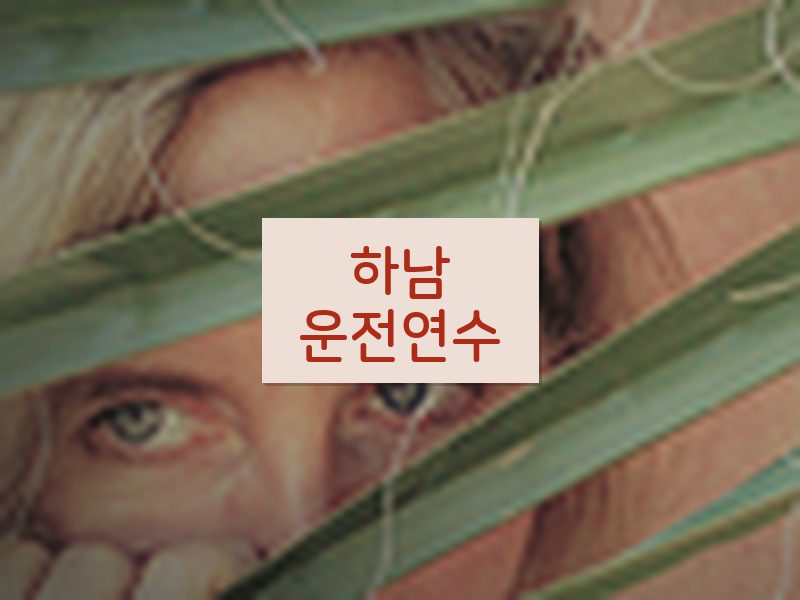하남운전연수 후기