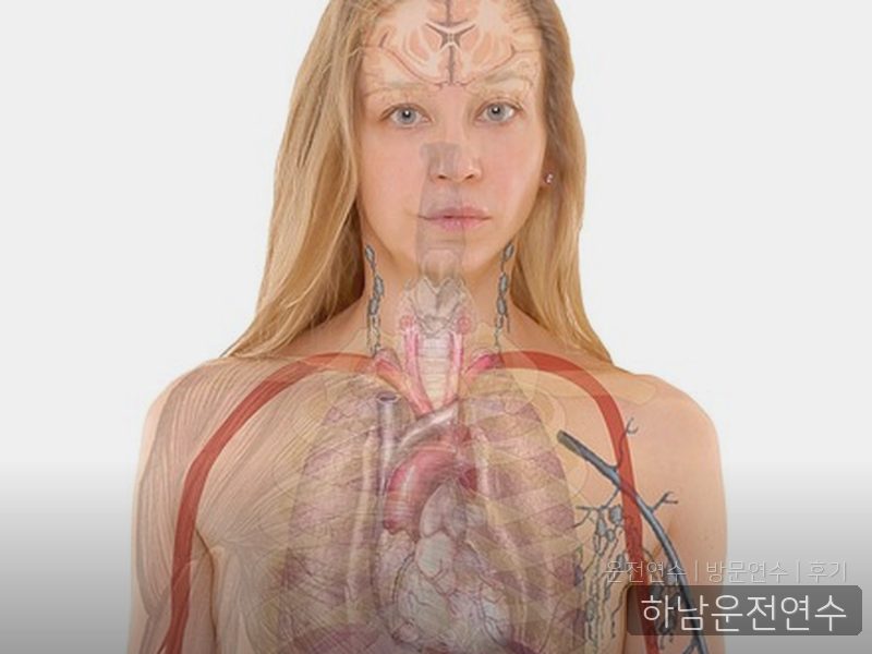 하남운전연수 후기