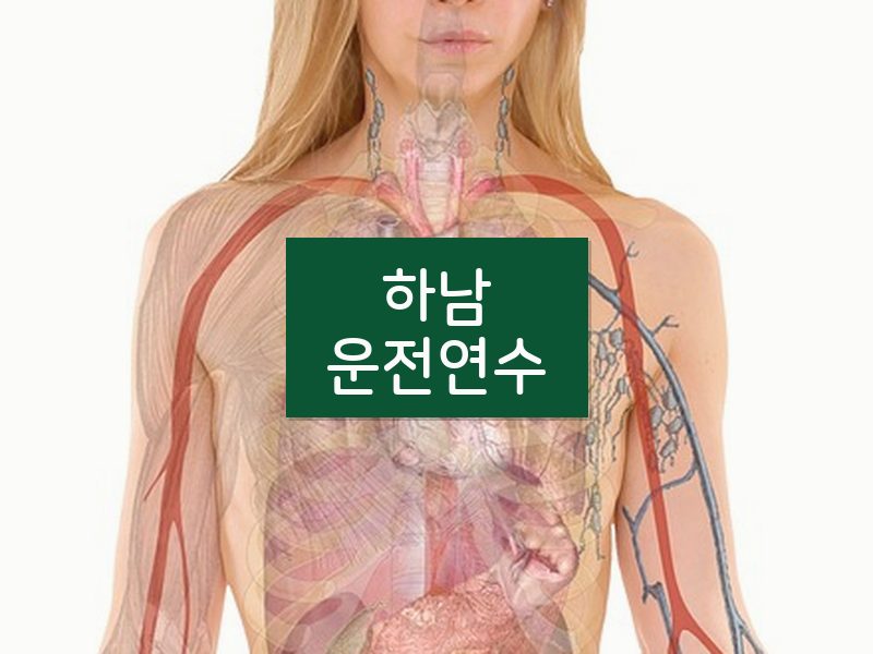 하남운전연수 후기