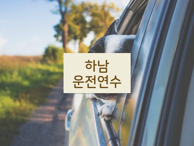 하남운전연수 후기