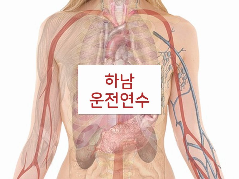 하남운전연수 후기