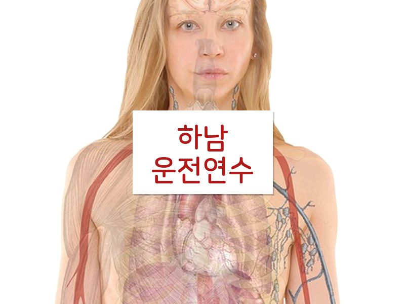 하남운전연수 후기