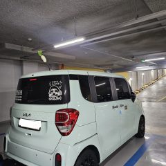 안전이 최우선인 강사님 후기 이미지