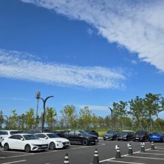 관악운전연수 잘하는 업체 후기