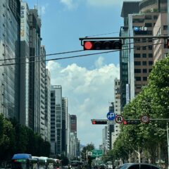 아이들 학교까지 운전 연습 후기 이미지