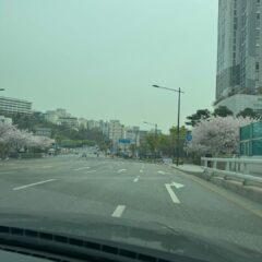 3일 집중 코스 너무 좋음!