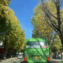 초보운전연수 10시간 완료 후기 (완전 추천!)