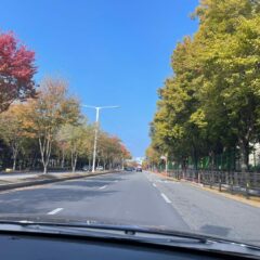 비가 오는 날 운전