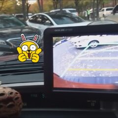 야간 운전 처음으로 도전!